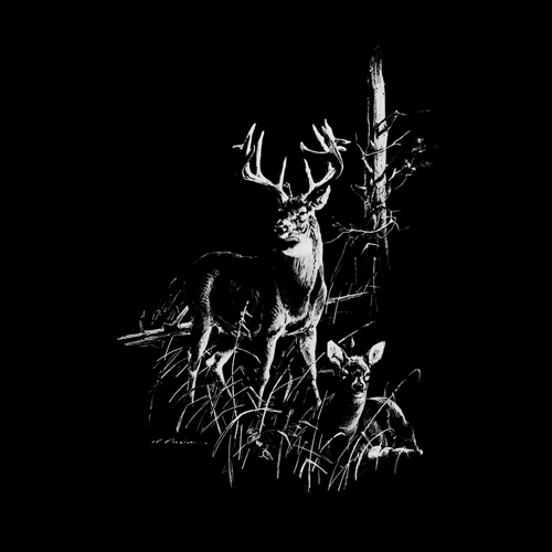 Clamshell Out-Swing